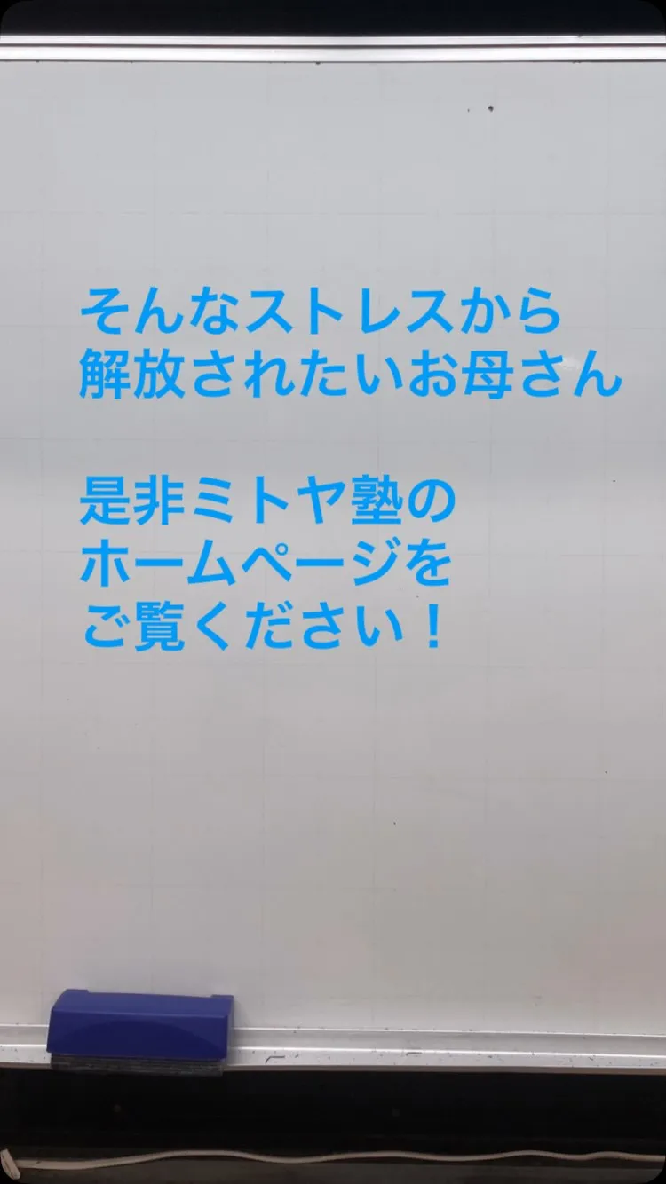 夏休みも折り返し